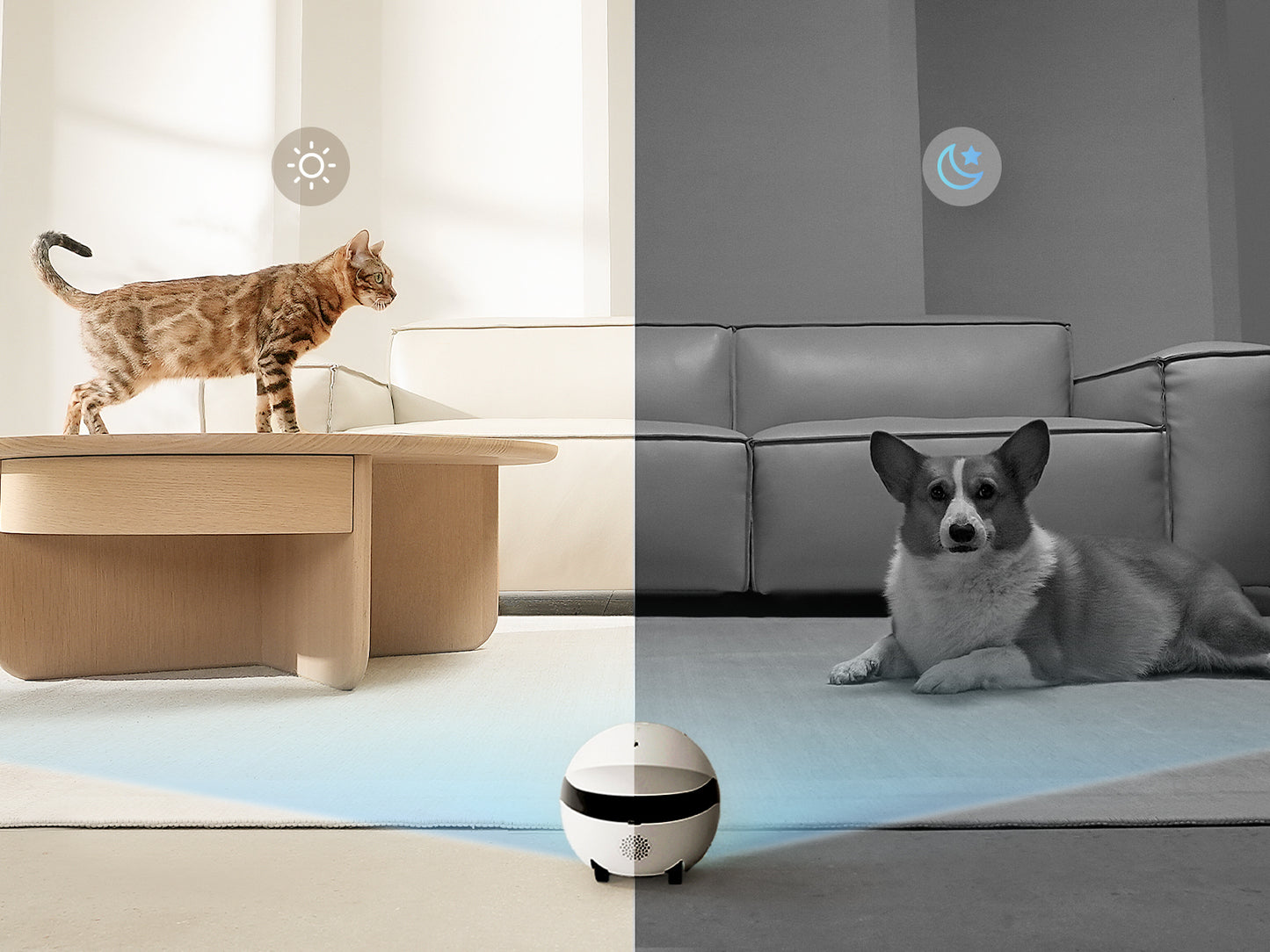 ROLA Mini – Robot compagnon 2K longue autonomie