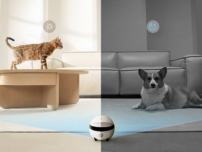 ROLA Mini – Robot compagnon 2K longue autonomie