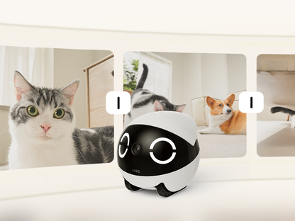 ROLA Mini – Robot compagnon 2K longue autonomie