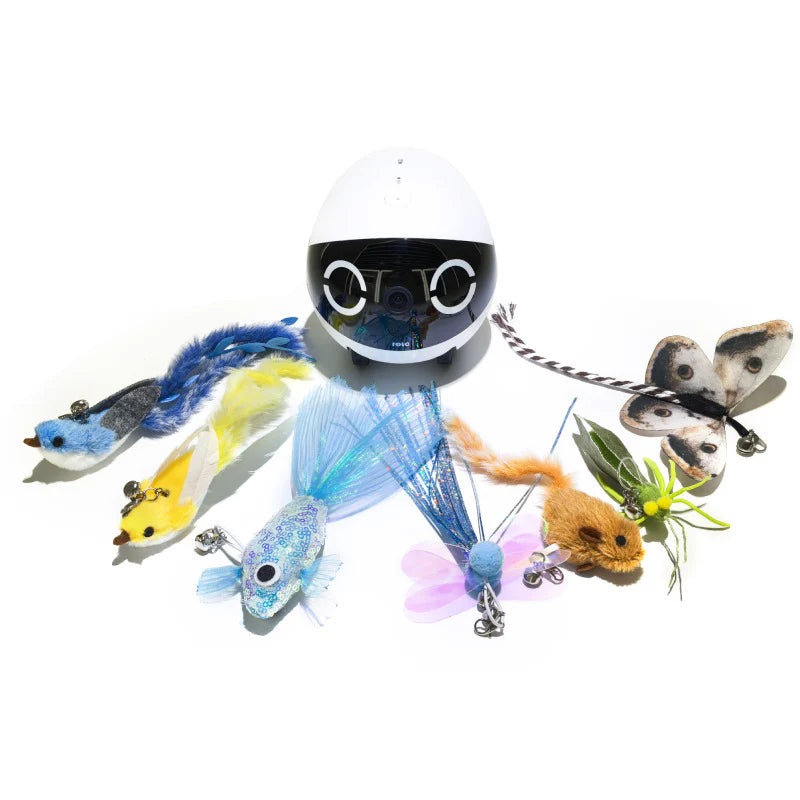 Kit Jouets Chat “Cat Teaser” (7 en 1) pour ROLA mini er Ebo Air 2 plus